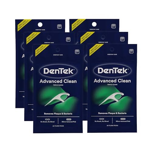 DenTek Floss Picks 6-Pack
