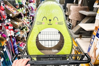 person pushing a cart with a large avocado cat scratcher in it