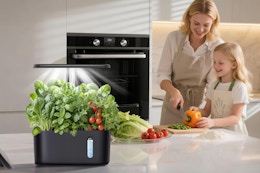 Indoor Hydroponic Growing System, Just $23.99 With Hidden Amazon Promo Code card image
