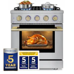 Convection Gas Range