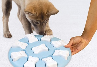 amazon outward hound puzzle toy 2022 2 1651508337 1651508337