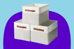 Amazon Basics Collapsible Storage Bins