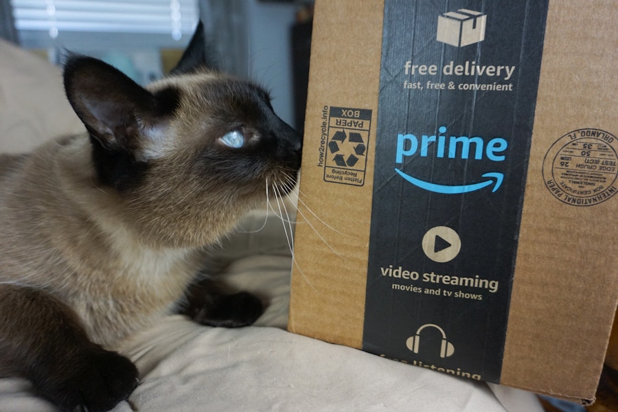 amazon-prime-pet-day-sale-pets-pets-cat-kitten-food-toys-free-shipping-artemis-kitty-delivery-box-13