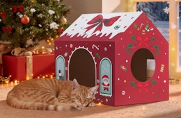 a cat sleeping next to a cardboard Christmas-themed cat house in a room