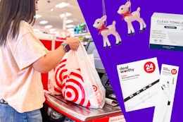 target circle 360 member freebie options for november