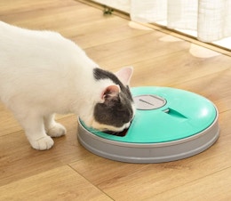 Amazon Basics Automatic Pet Feeder, Only $18.89 on Amazon card image