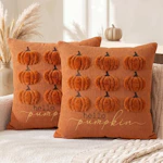 Throw Pillow Covers