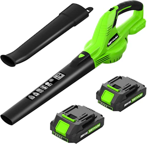 Cordless Leaf Blower