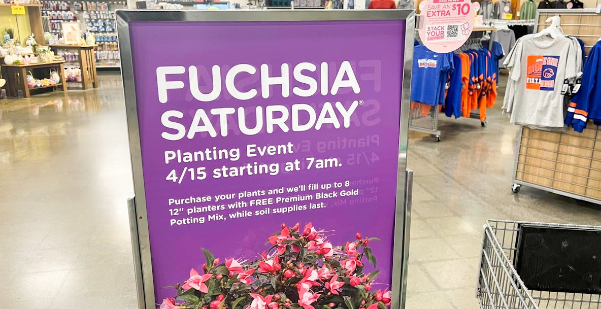 Fred Meyer Fuchsia Saturday 2024 Get 19 Worth of Free Potting Soil