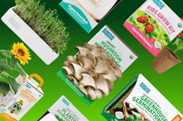 Back to the Roots Grow Kits Are on Sale — Prices Start at $3.41 card image