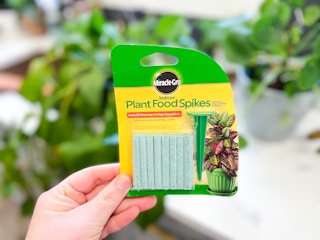 miracle grow plant spikes1 1647605885 1647605885