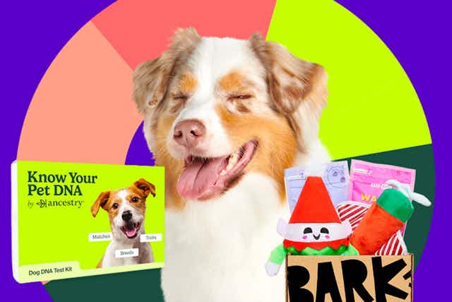 Subscribe at BarkBox and Get a Free Pet Ancestry DNA Kit card image