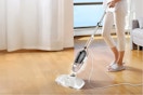 Steam Mop (1)