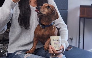 A dog sitting near PetLab Co. probiotic chews.