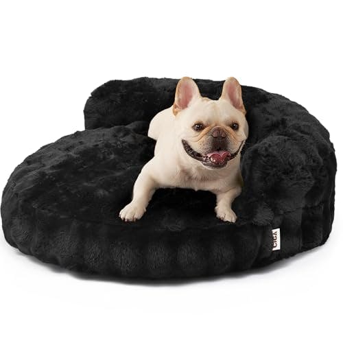 Dog Bed