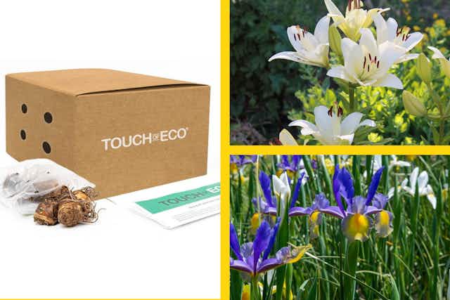Get Up to 45 Flower Bulbs for $14.99 Shipped card image