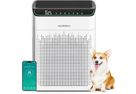 Large Room Air Purifier