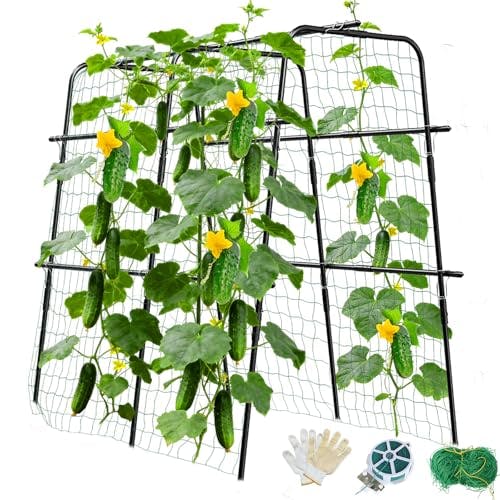 Cucumber Trellis