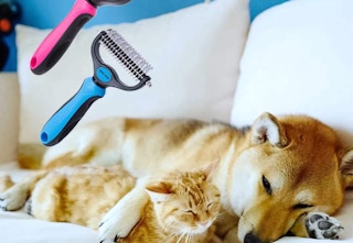 amazon pet grooming brush 2023 1 1682187060 1682187060