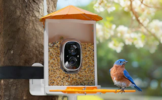 a bird on a bird feeder on a tree