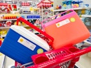 2 sun squad coolers sitting on a target cart