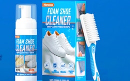 a shoe cleaning kit