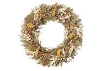 Magnolia Hearth & Hand Wreath