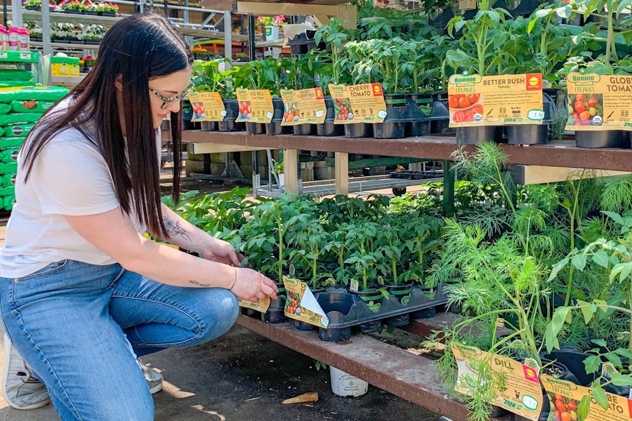 home-depot-memorial-sale-tomato-plants-model-kcl-reuploaded-feature