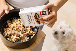justfoodfordogs dog food on a table