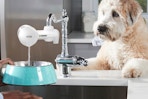 person using Pur Water Filtration System to fill up dog bowl