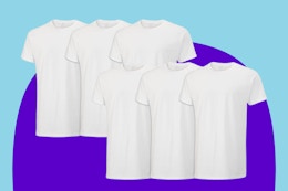 amazon-fruit-of-the-loom-t-shirts-B00VTV8ISK