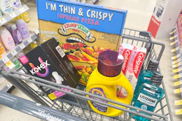 groceries in a walgreens shopping cart