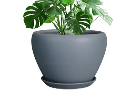 Ceramic Planter