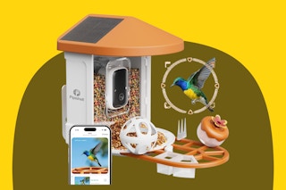 Camera Bird Feeder
