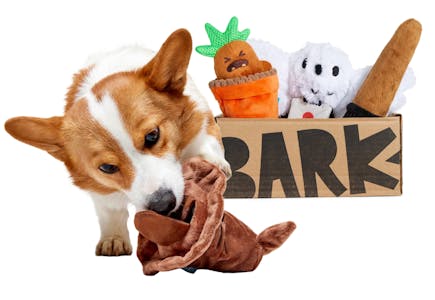 BarkBox Subscription