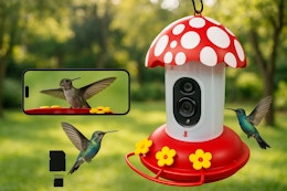 Hummingbird Feeder Camera, Only $53.99 on Amazon (Reg. $90) card image