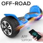 Off-Road Hoverboard