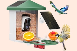 Smart Bird Feeder with Camera B0C4Y6D5BD
