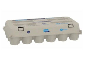 Kroger Eggs