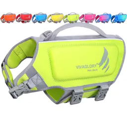Dog Life Vest
