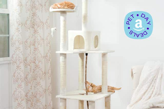 Get a 6-Foot Cat Tree for Only $53 for Amazon Pet Day (Reg. $155) card image