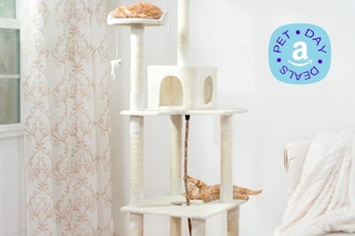 cat-tree-amazon-pet day