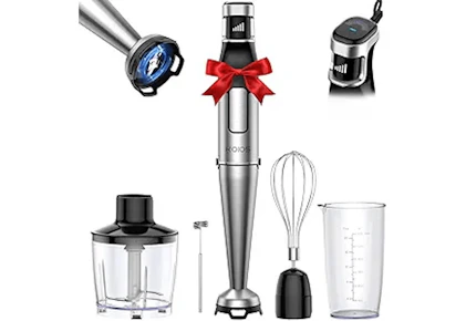 Immersion Blender