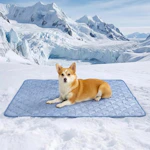 Cooling Pet Blanket