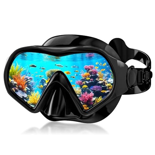 Snorkel Mask