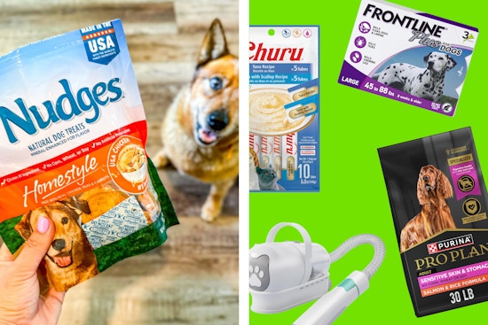 Editor-Approved Picks From Amazon's 2-Day Pet Day Sale — Save on Top Brands
