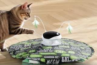 Cat Laser Toy (1)