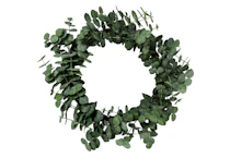 Magnolia Hearth & Hand Wreath