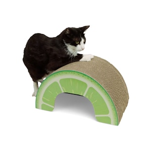 Lime Cardboard Cat Scratcher
