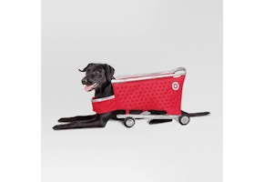 Hyde & EEK Boutique Dog Costume